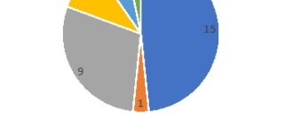 Статистика проектов 2021